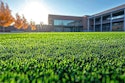 Testing Finds No Detectable PFAS in FieldTurf—Outperforming Even Grass